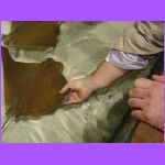 Josh Touching Fish 5.jpg